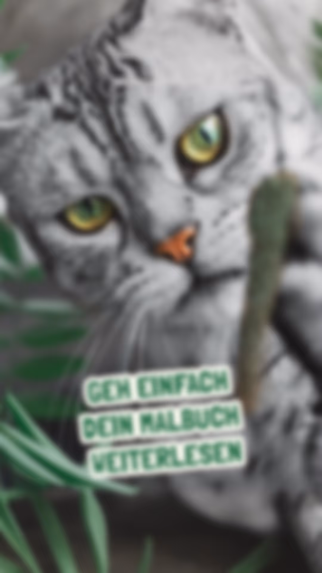 Vorschau 1