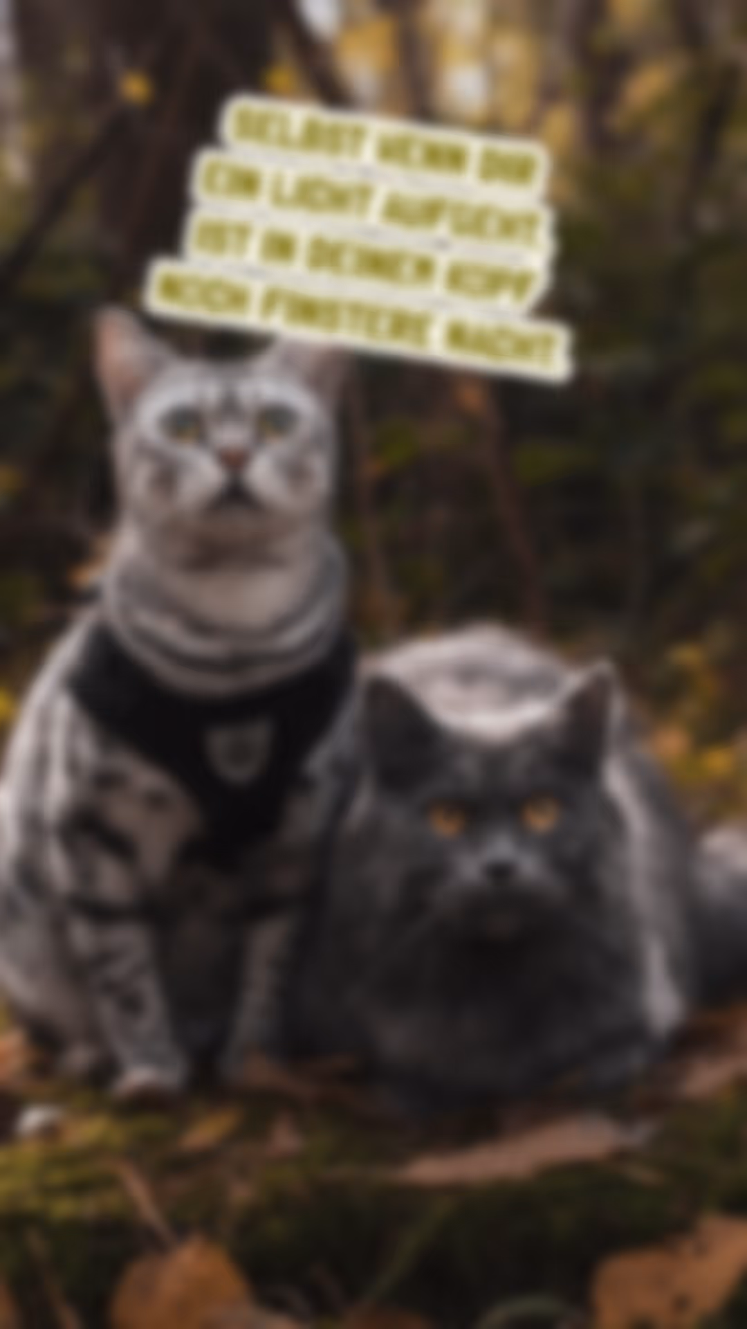 Vorschau 2