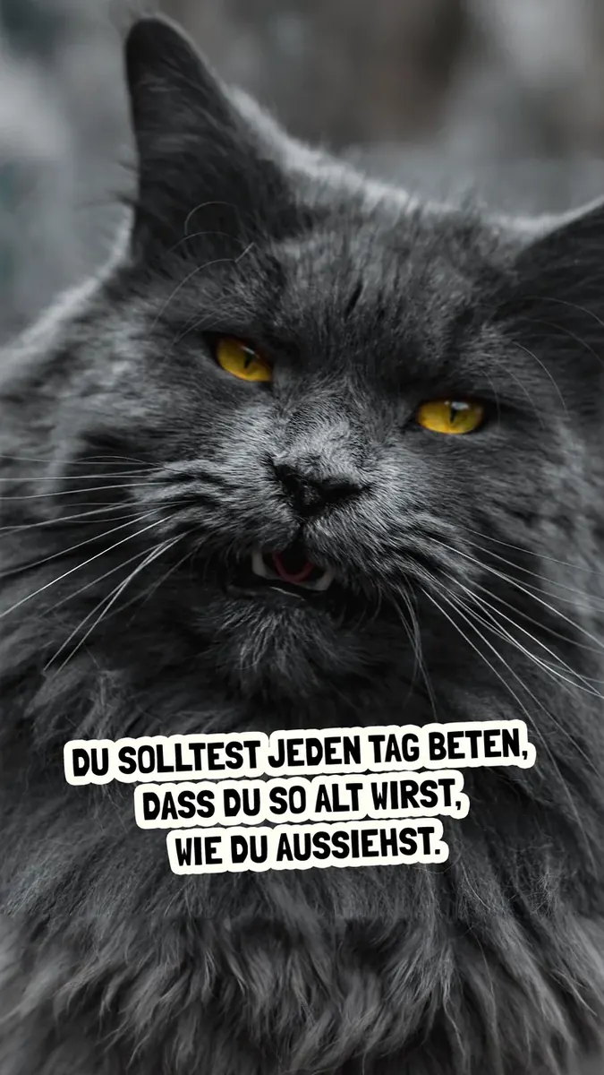 Bild herunterladen