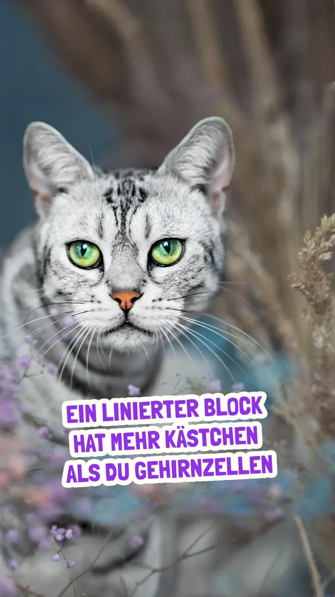 Bild herunterladen