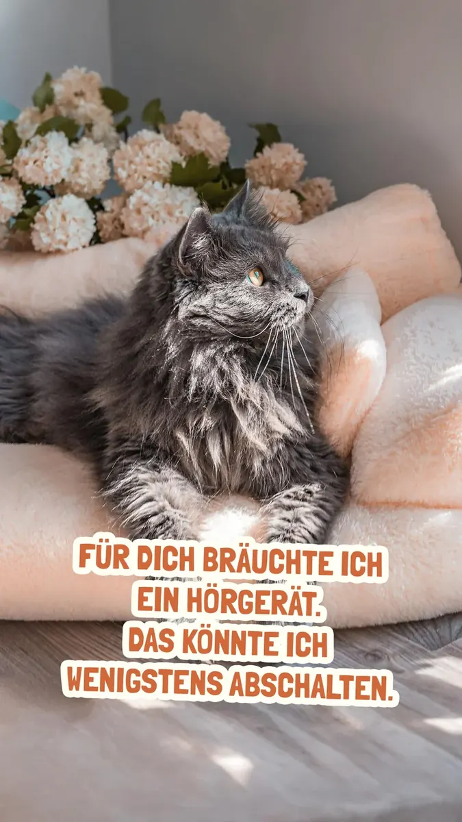 Bild herunterladen