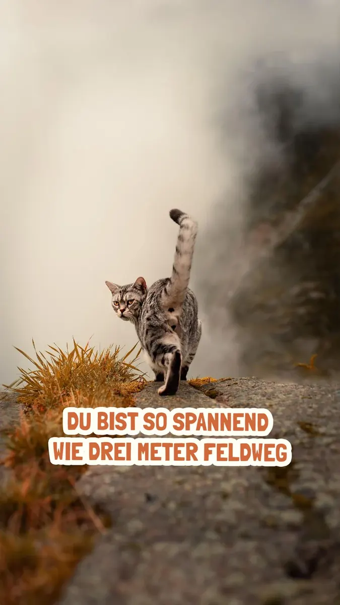 Bild herunterladen