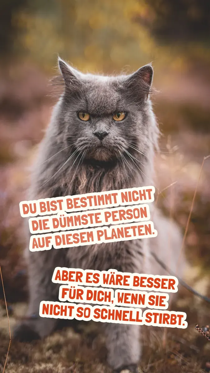 Bild herunterladen