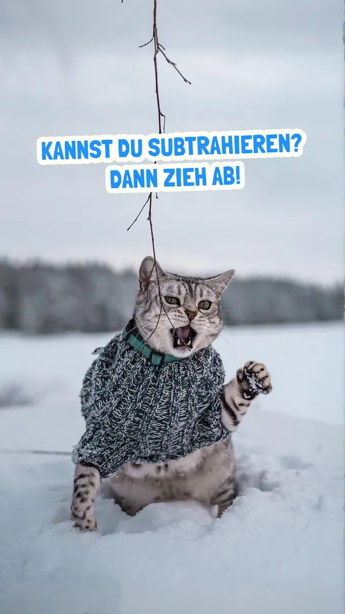 Bild herunterladen