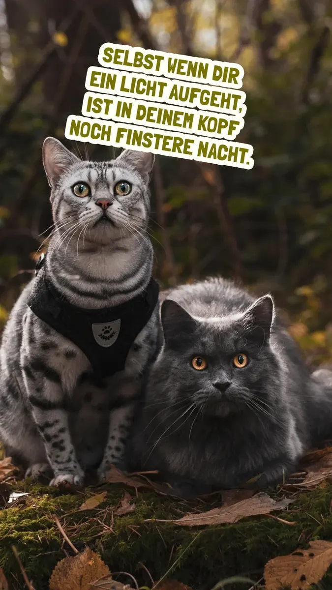 Bild herunterladen